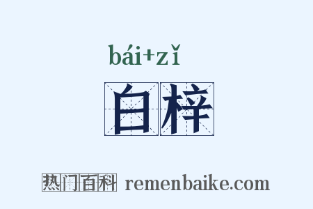 白梓是什么意思的图片